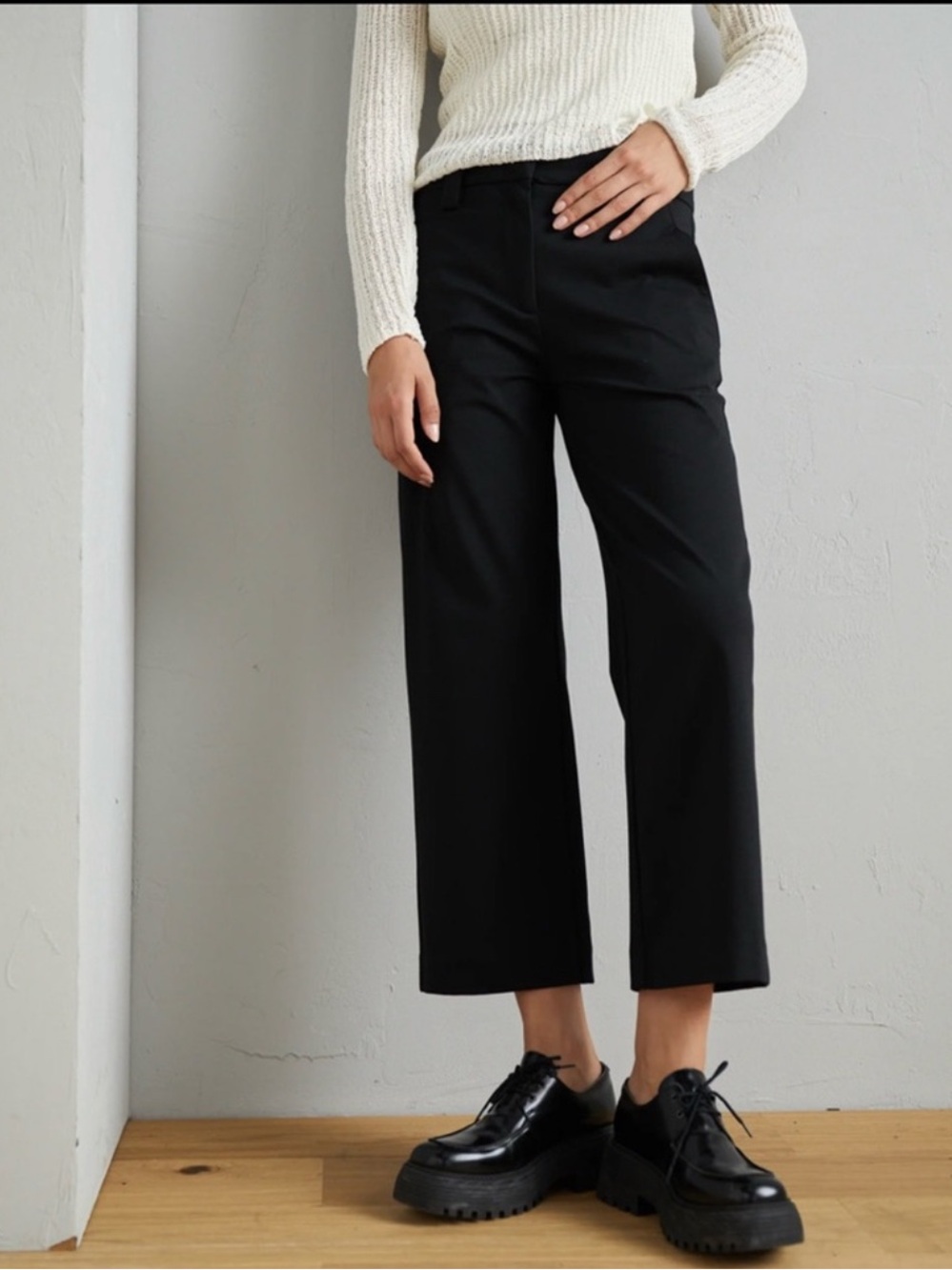 NWOT KOTN Egyptian Cotton Crop Wide Leg Trouser